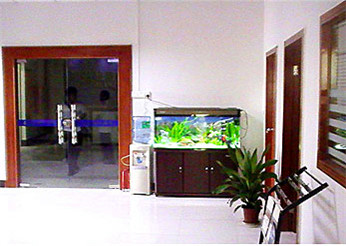 1654607676292385.jpg 56dfd4169c5f0.jpg